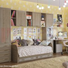 Детская Карина композиция 1 (Гикори Джексон светлый) в Лесном - lesnoy.mebel24.online | фото