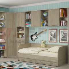 Детская Карина композиция 7 (Гикори Джексон светлый) в Лесном - lesnoy.mebel24.online | фото