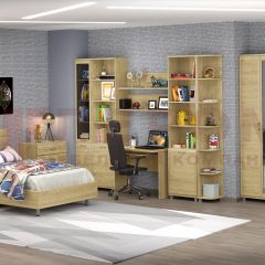 Детская Мелисса композиция 10 (Гикори Джексон светлый) в Лесном - lesnoy.mebel24.online | фото