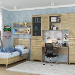 Детская Мелисса композиция 12 (Гикори Джексон светлый) в Лесном - lesnoy.mebel24.online | фото