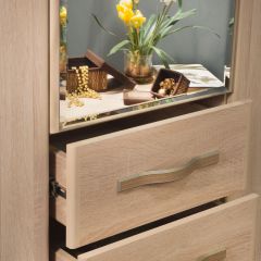 ДИАНА Д11 Шкаф для одежды в Лесном - lesnoy.mebel24.online | фото 5