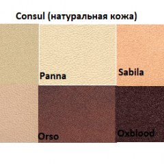 Диван двухместный Алекто Consul натуральная кожа в Лесном - lesnoy.mebel24.online | фото 5