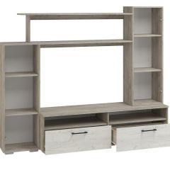 Гостиная Эмма МИНИ (Дуб Крафт серый/белый) в Лесном - lesnoy.mebel24.online | фото 2