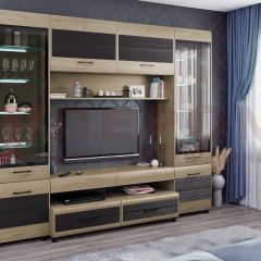Гостиная Камелия Композиция 11 (Гикори Джексон светлый комбинированный) в Лесном - lesnoy.mebel24.online | фото
