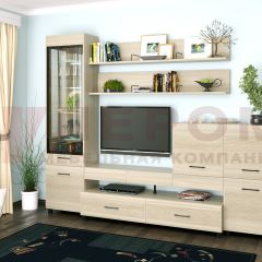Гостиная Камелия Композиция 5 (Ясень Асахи) в Лесном - lesnoy.mebel24.online | фото
