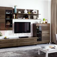 Гостиная Камелия Композиция 6 (Гикори Джексон темный) в Лесном - lesnoy.mebel24.online | фото