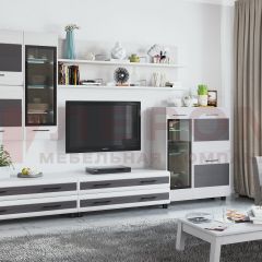 Гостиная Камелия Композиция 6 (Снежный ясень - серый) в Лесном - lesnoy.mebel24.online | фото
