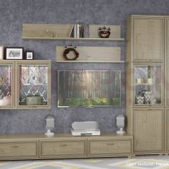 Гостиная Карина Композиция 1 (Гикори Джексон светлый) в Лесном - lesnoy.mebel24.online | фото