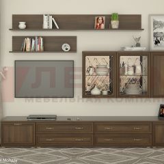 Гостиная Карина Композиция 10 (Акация Молдау) в Лесном - lesnoy.mebel24.online | фото