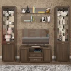 Гостиная Карина Композиция 13 (Акация Молдау) в Лесном - lesnoy.mebel24.online | фото