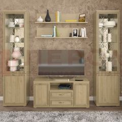 Гостиная Карина Композиция 13 (Гикори Джексон светлый) в Лесном - lesnoy.mebel24.online | фото