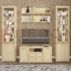 Гостиная Карина Композиция 13 (Ясень Асахи) в Лесном - lesnoy.mebel24.online | фото