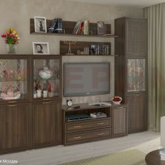 Гостиная Карина Композиция 22 (Акация Молдау) в Лесном - lesnoy.mebel24.online | фото
