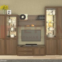 Гостиная Карина Композиция 24 (Акация Молдау) в Лесном - lesnoy.mebel24.online | фото