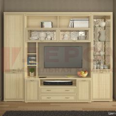 Гостиная Карина Композиция 9 (Ясень Асахи) в Лесном - lesnoy.mebel24.online | фото