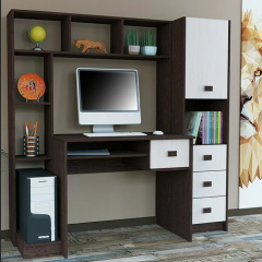 Компьютерный стол СК-01 + Пенал ПСК в Лесном - lesnoy.mebel24.online | фото
