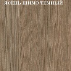 Кровать 2-х ярусная с диваном Карамель 75 (АРТ) Ясень шимо светлый/темный в Лесном - lesnoy.mebel24.online | фото 5