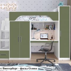 Кровать-чердак Тея (*Без Пенала) в Лесном - lesnoy.mebel24.online | фото 6