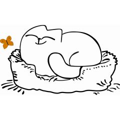 Кровать двухуровневая Кот № 900.1 ПРАВАЯ (туя светлая/белый) в Лесном - lesnoy.mebel24.online | фото 2