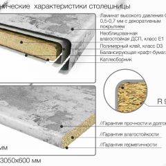 Кухонный фартук со столешницей (А-01) в едином стиле (3050 мм) в Лесном - lesnoy.mebel24.online | фото 6