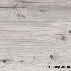Кухонный гарнитур Сиена стандарт 1600 мм в Лесном - lesnoy.mebel24.online | фото 8