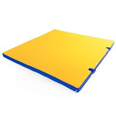 Мат гимнастический 1х1х0,05м с вырезом под стойки цв. синий-желтый в Лесном - lesnoy.mebel24.online | фото