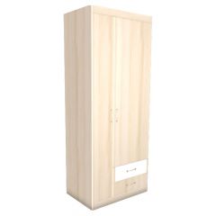 НИКА Н10 Шкаф для одежды в Лесном - lesnoy.mebel24.online | фото