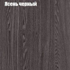 Прихожая ДИАНА-4 сек №11 (Ясень анкор/Дуб эльза) в Лесном - lesnoy.mebel24.online | фото 3