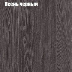 Прихожая ДИАНА-4 сек №3 (Ясень анкор/Дуб эльза) в Лесном - lesnoy.mebel24.online | фото 3