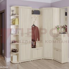 Прихожая Карина композиция 5 (Ясень Асахи) в Лесном - lesnoy.mebel24.online | фото