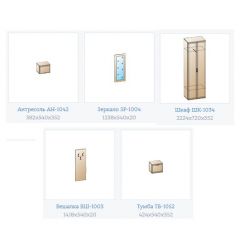 Прихожая Карина композиция 7 (Снежный ясень) в Лесном - lesnoy.mebel24.online | фото 3