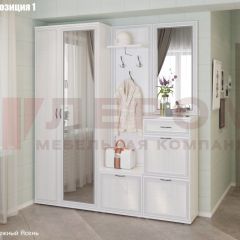 Прихожая Карина (модульная) в Лесном - lesnoy.mebel24.online | фото 3