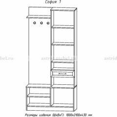 Прихожая София 1 в Лесном - lesnoy.mebel24.online | фото 3