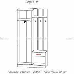 Прихожая София 8 в Лесном - lesnoy.mebel24.online | фото 2