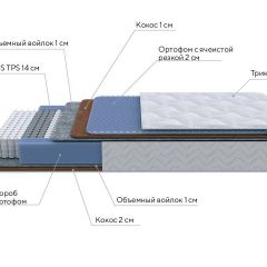 PROxSON Матрас Active Duo M/F (Ткань Трикотаж Эко) 200x190 в Лесном - lesnoy.mebel24.online | фото 7