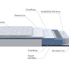 PROxSON Матрас Active Duo S/F (Ткань Трикотаж Эко) 180x190 в Лесном - lesnoy.mebel24.online | фото 7