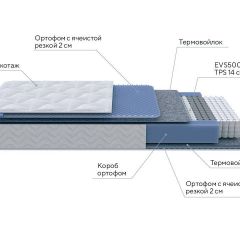 PROxSON Матрас Active M Roll (Ткань Трикотаж Эко) 180x200 в Лесном - lesnoy.mebel24.online | фото 7