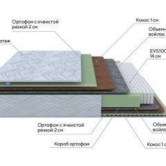 PROxSON Матрас Green M (Tricotage Dream) 140x190 в Лесном - lesnoy.mebel24.online | фото 7