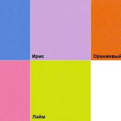 Шкаф 2-х створчатый с ящиками (1000) в Лесном - lesnoy.mebel24.online | фото 5