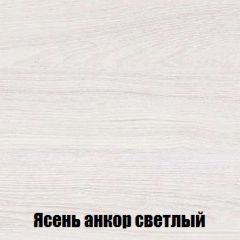 Шкаф 2-х створчатый МСП-1 (Ясень Анкор светлый) в Лесном - lesnoy.mebel24.online | фото 4