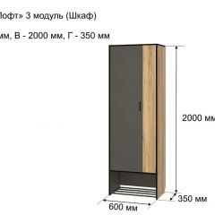 ОЛЬГА-ЛОФТ 3 Шкаф 2-х створчатый в Лесном - lesnoy.mebel24.online | фото 4