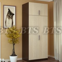 Шкаф 2-х створчатый с перегородкой (венге/лоредо) в Лесном - lesnoy.mebel24.online | фото