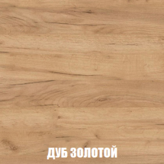 Шкаф 3-х створчатый МСП-1 (Дуб Золотой/Камень темный) в Лесном - lesnoy.mebel24.online | фото 4