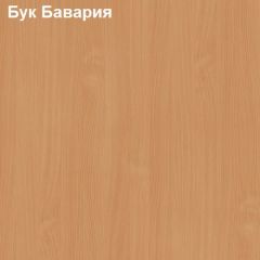 Шкаф для документов с нижней дверью Логика Л-10.3 в Лесном - lesnoy.mebel24.online | фото 2