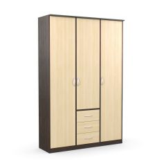 Шкаф комбинированный Дуэт Люкс без зеркала в Лесном - lesnoy.mebel24.online | фото