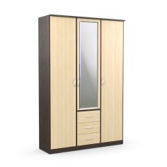 Шкаф комбинированный Дуэт Люкс с зеркалом в Лесном - lesnoy.mebel24.online | фото