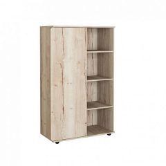 Шкаф комбинированный Дельта Лофт-13 Дуб Ирладндский в Лесном - lesnoy.mebel24.online | фото