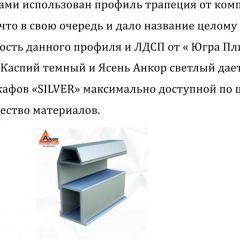Шкаф-купе 1500 серии SILVER S1+S1+B2+PL2 (2 ящика+1 штанга+1 полка) профиль «Серебро» в Лесном - lesnoy.mebel24.online | фото 4