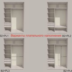 Шкаф-купе 1500 серии SILVER S1+S1+B2+PL2 (2 ящика+1 штанга+1 полка) профиль «Серебро» в Лесном - lesnoy.mebel24.online | фото 6