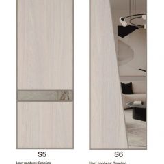 Шкаф-купе 1500 серии SILVER S1+S1+B2+PL2 (2 ящика+1 штанга+1 полка) профиль «Серебро» в Лесном - lesnoy.mebel24.online | фото 11